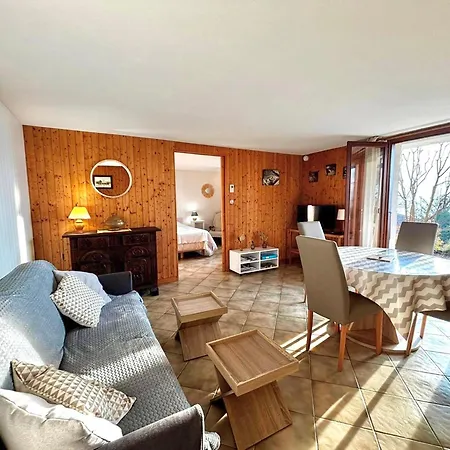 Confortable Avec Terrasse Et Wifi - Fr-1-432-32 * Annecy
